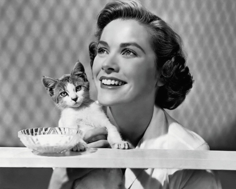 8 Best Actresses of Old Hollywood