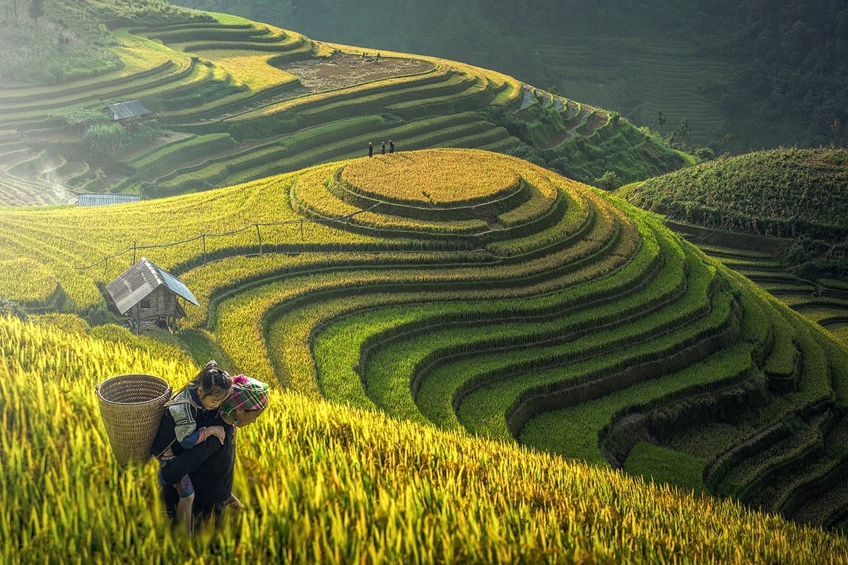 Sapa | 6 địa điểm du lịch ở Việt Nam bạn không thể “bỏ lỡ” vào mùa thu | Brain Berries