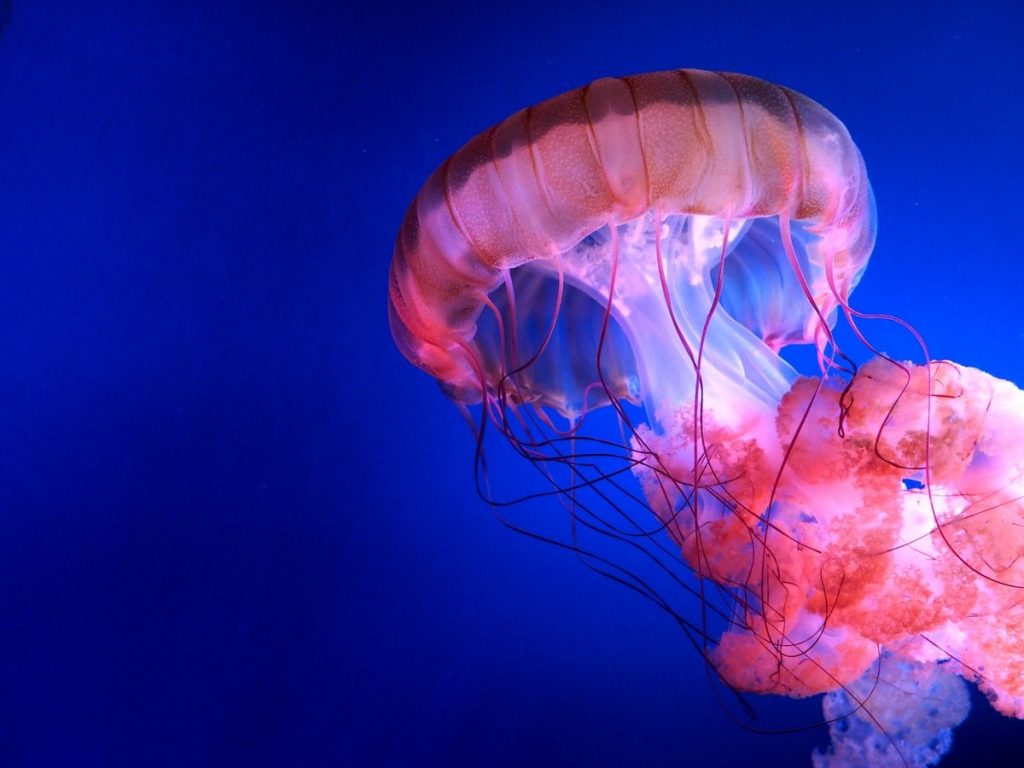 Seven Sensational Facts About Sound