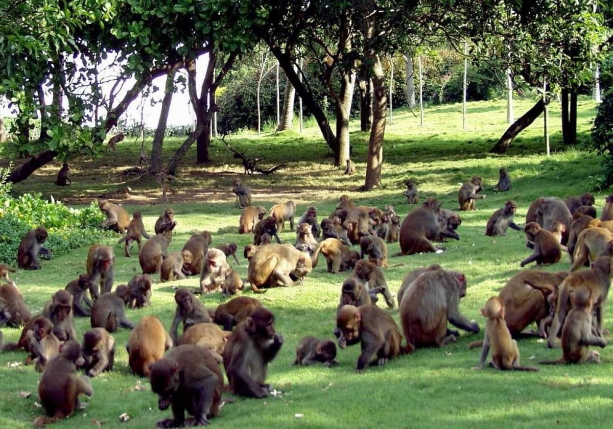 Остров Морган | Посторонним вход запрещен: 10 самых закрытых мест на планете | Brain Berries