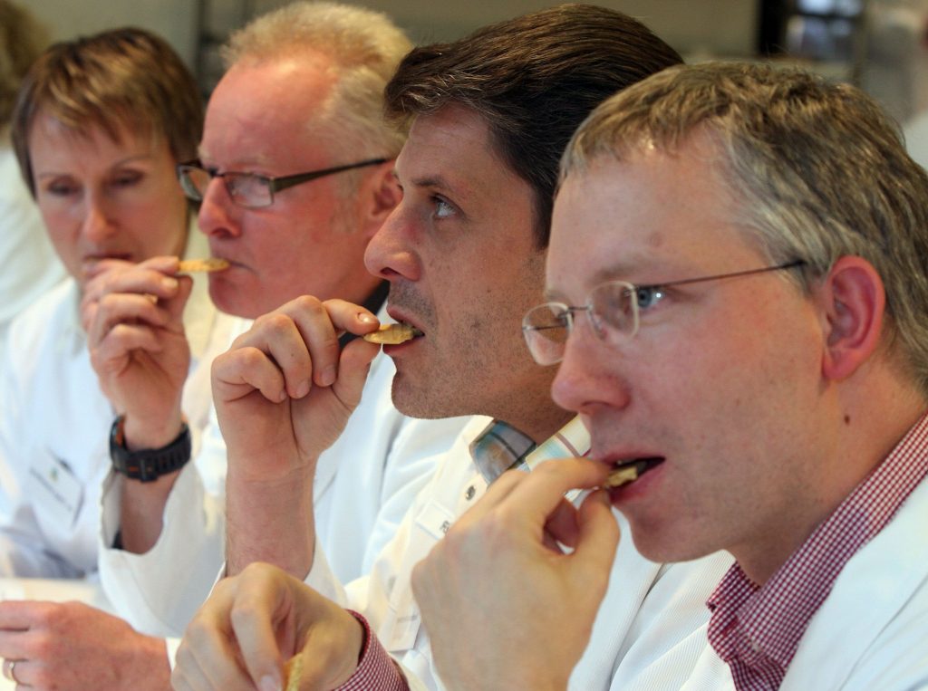 8 Weirdest Jobs That You Can Apply For