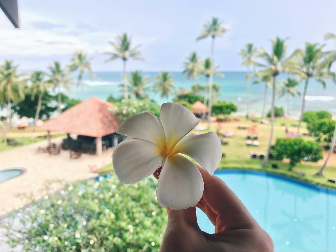 Шри-Ланка | Куда поехать на море зимой: 9 лучших направлений | Brain Berries