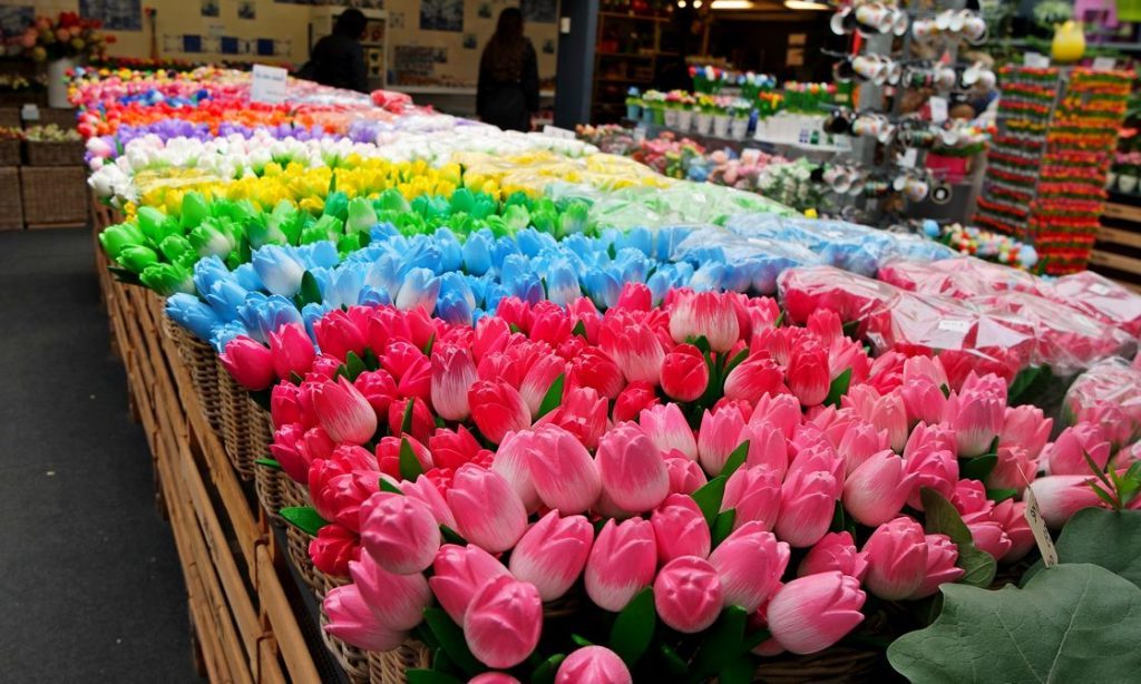 Цветочный рынок в Амстердаме | Топ-8 самых колоритных рынков мира | Brain Berries