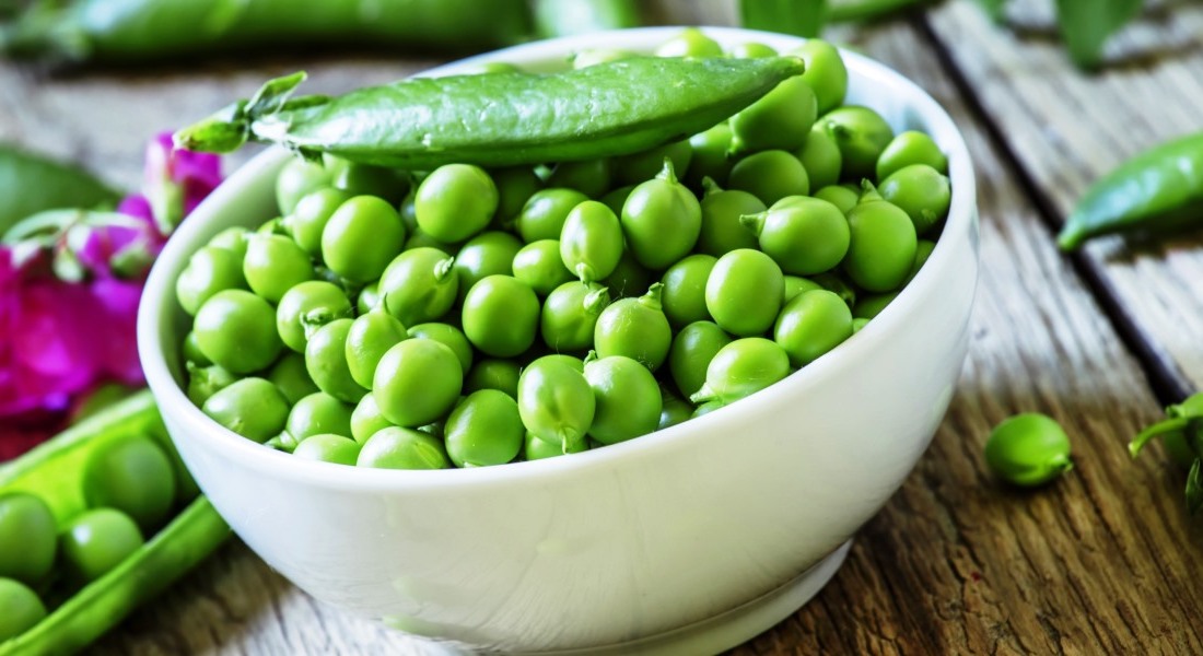 Горох | Самые распространенные генетически модифицированные продукты | Brain Berries