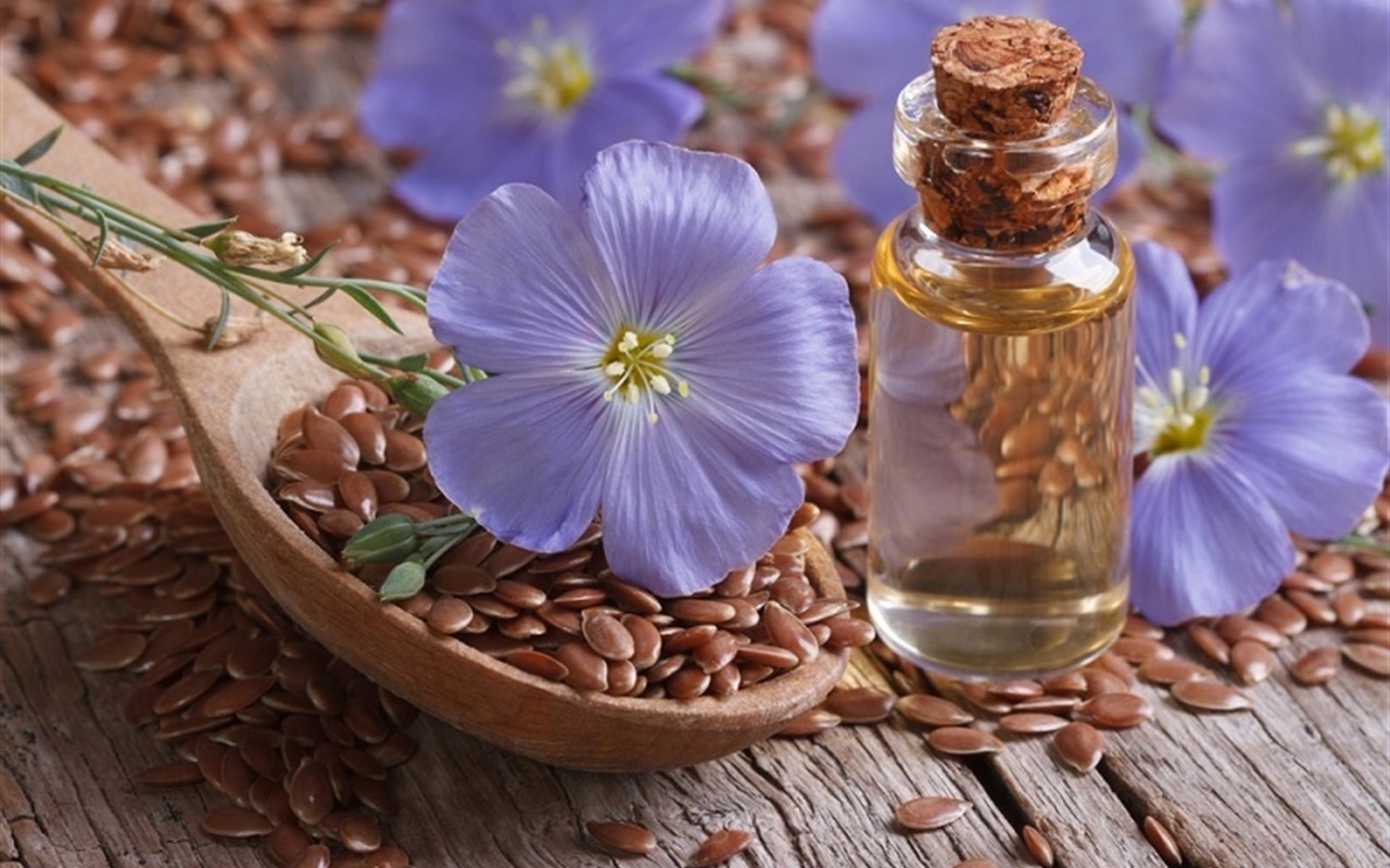 Лен | Самые распространенные генетически модифицированные продукты | Brain Berries