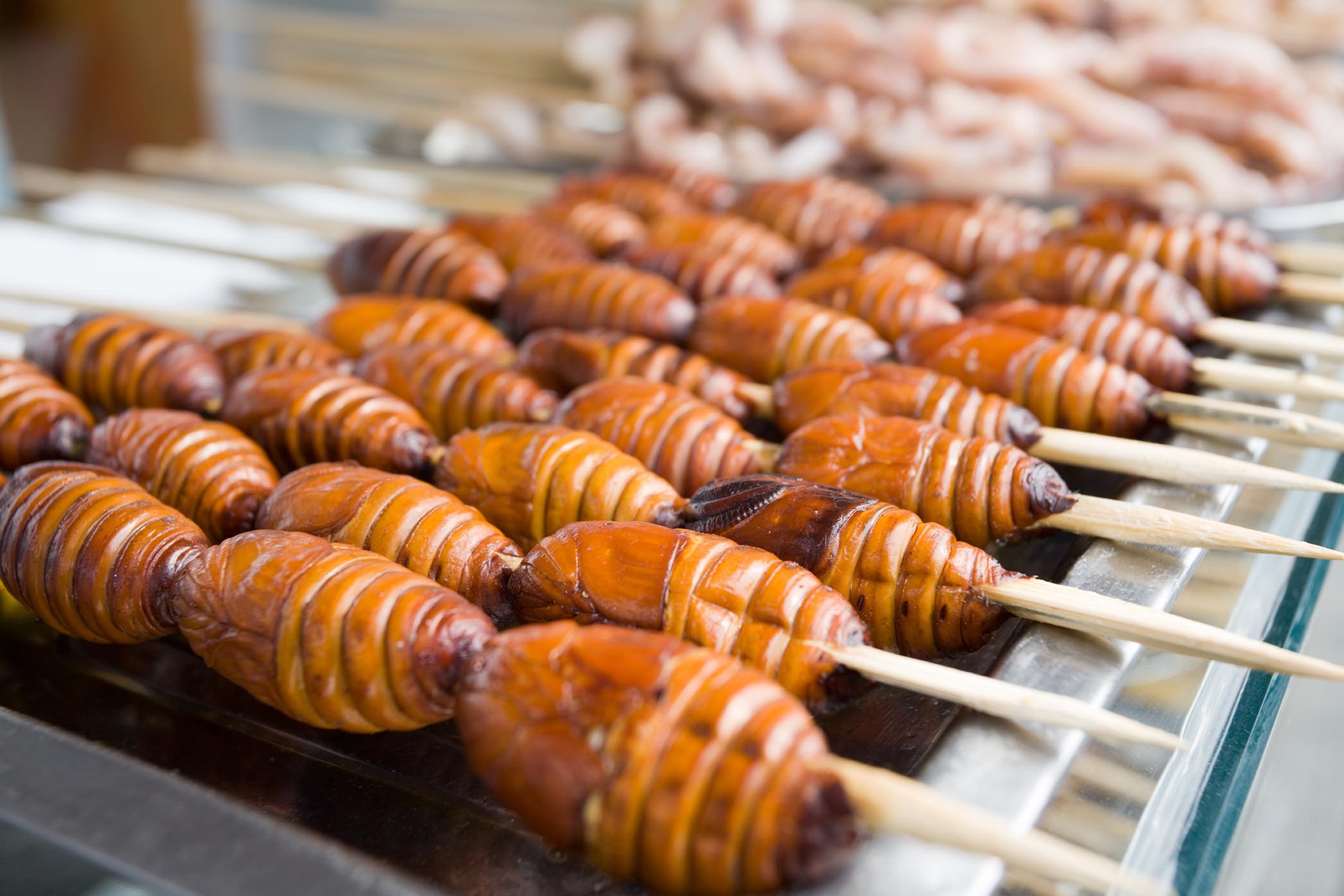 Личинки тутового шелкопряда | 6 насекомых, которые в будущем могут заменить нам еду | Brain Berries