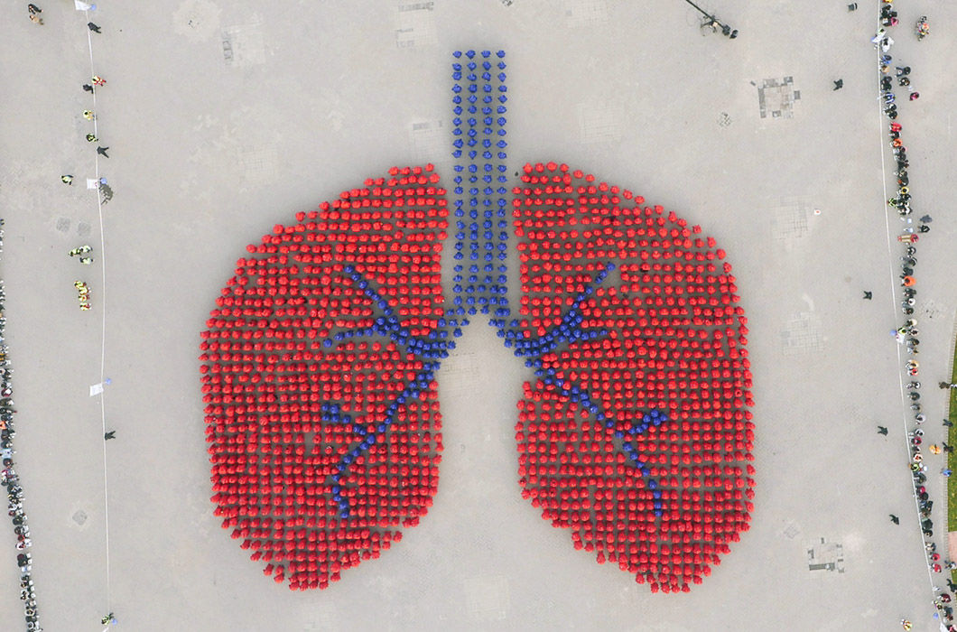 #12 | Перфекционизм по-китайски: зловещая магия организованной толпы | BrainBerries