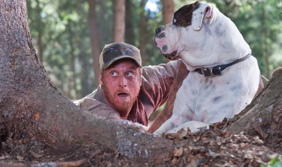 Tucker and Dale vs. Evil | Top 7 Best Horror Parody Movies | BrainBerries