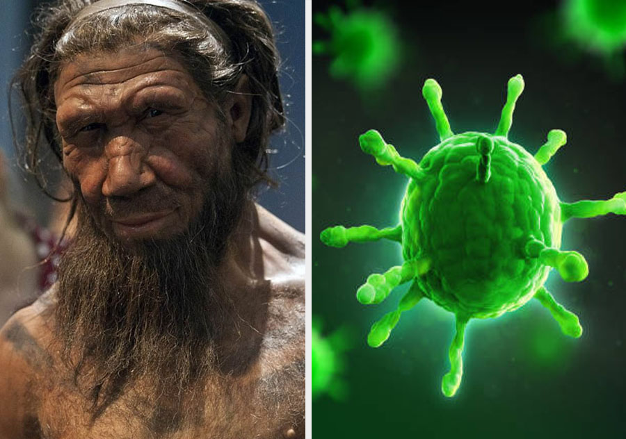 We all have viral DNA | 10 Mind-Bending Facts About Genes That Explain Everything | ZestRadar