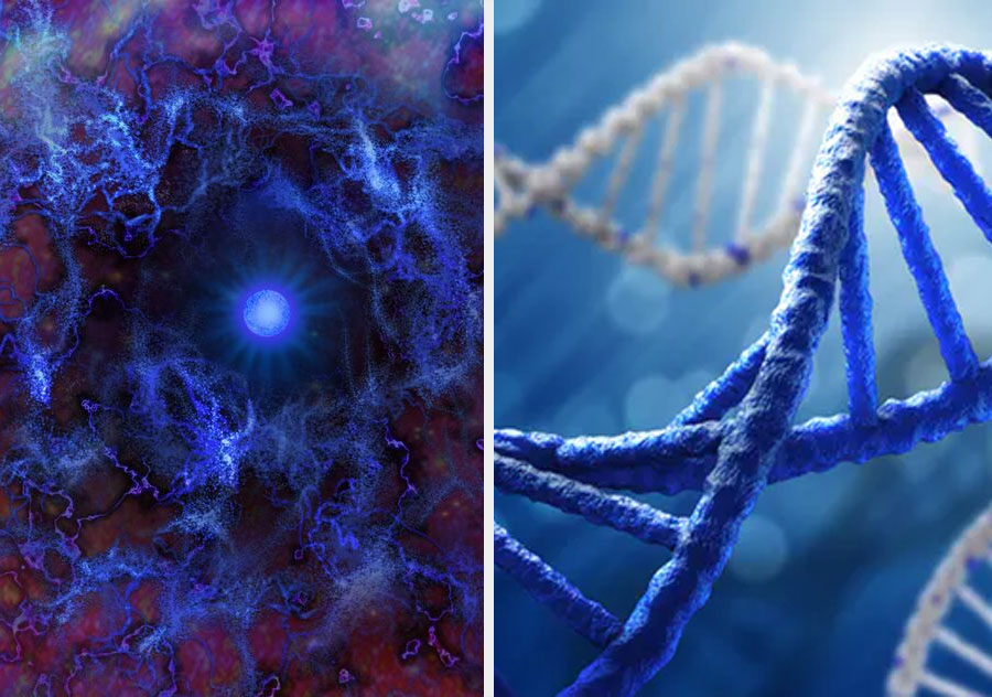 We’re made of ‘dark matter’ | 10 Mind-Bending Facts About Genes That Explain Everything | ZestRadar