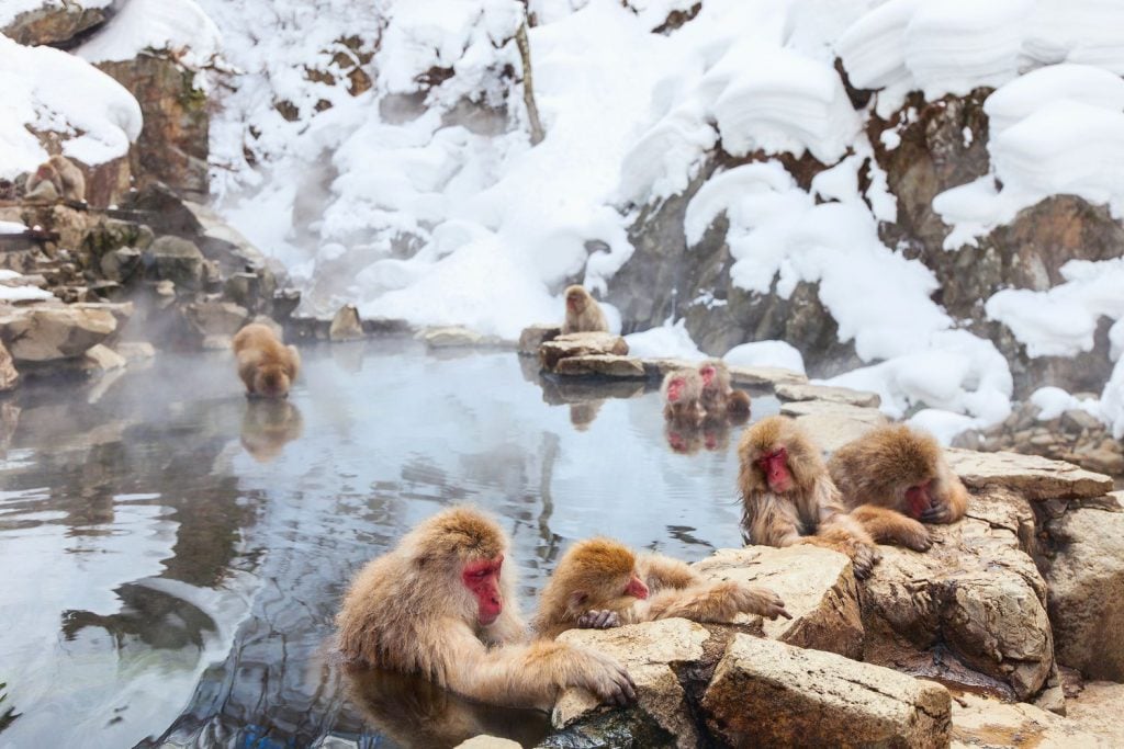 9 Amazing Destinations You’ll Want to Visit in the Winter