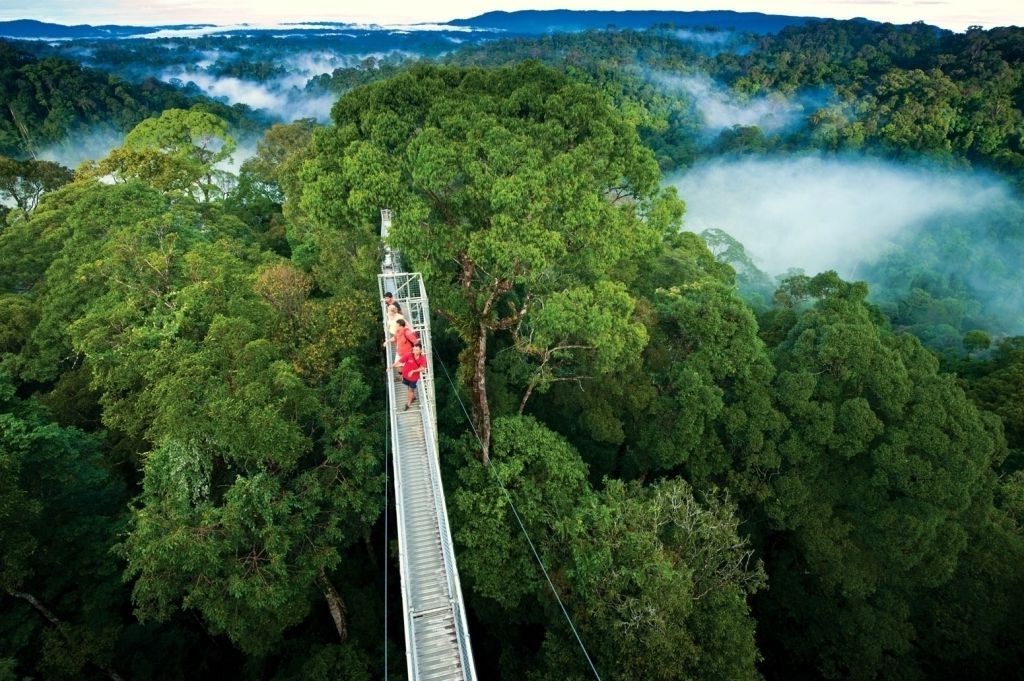 Carbon offsetting | These Are 2020's Top Travel Trends: Ecolodges, 'Microcations', And More | Zestradar