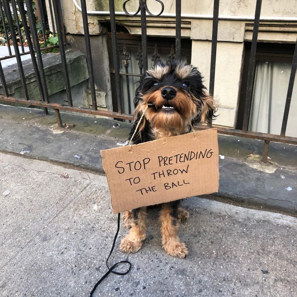 Baboy Is The Goodest Boi Of Them All
