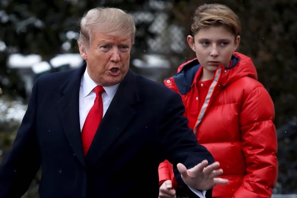 10 Curious Little-Known Facts About Barron Trump Brain Berries