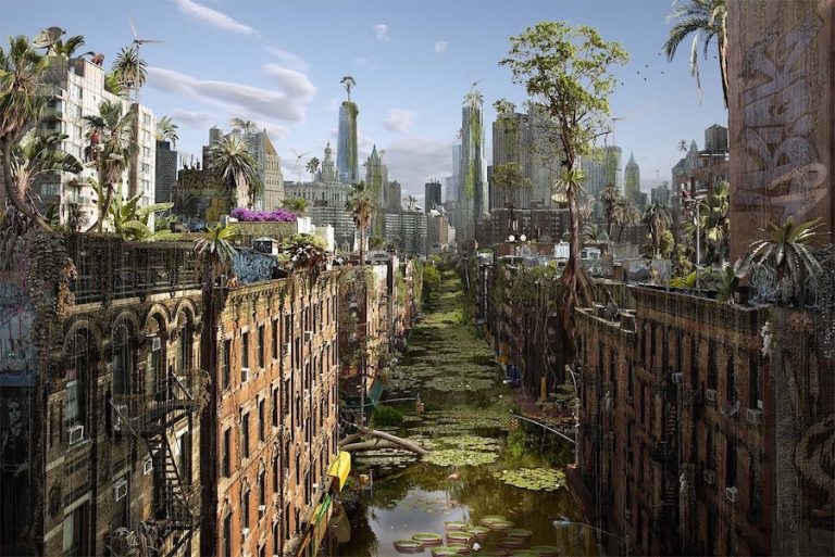 ≡ What Would Cities Look Like If Humans Disappeared Brain Berries