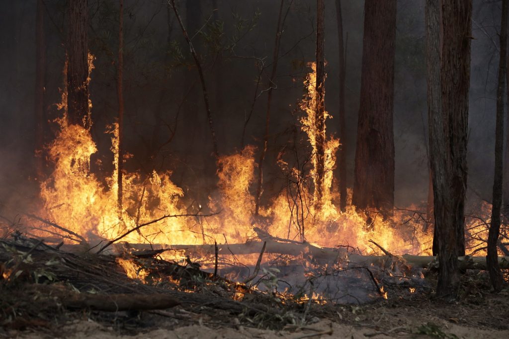 Forest Fire Near Chornobyl Almost Caused Another Nuclear Disaster