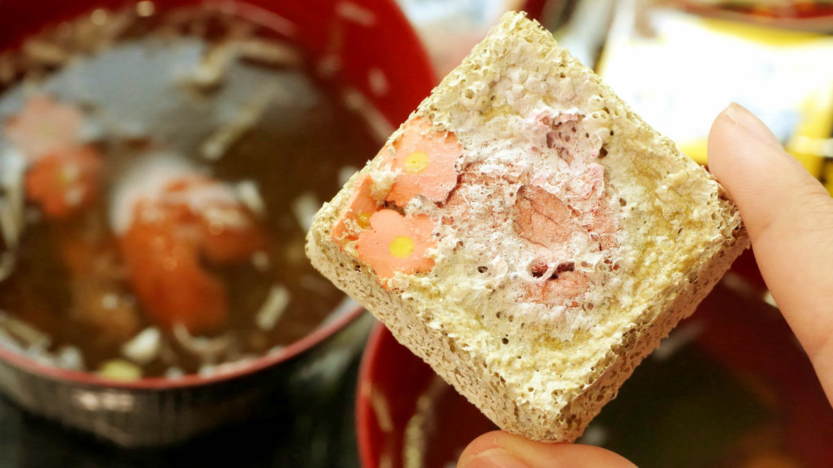 7 Curious Facts About FreezeDried Food