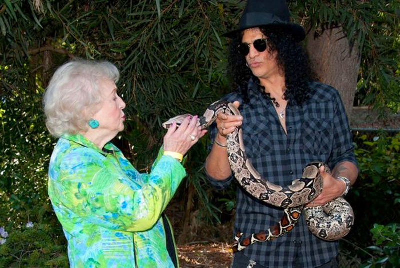 Slash – Pythons | Kristen Stewart – Wolf | 10 Celebrities With Truly Weird Pets | Zestradar