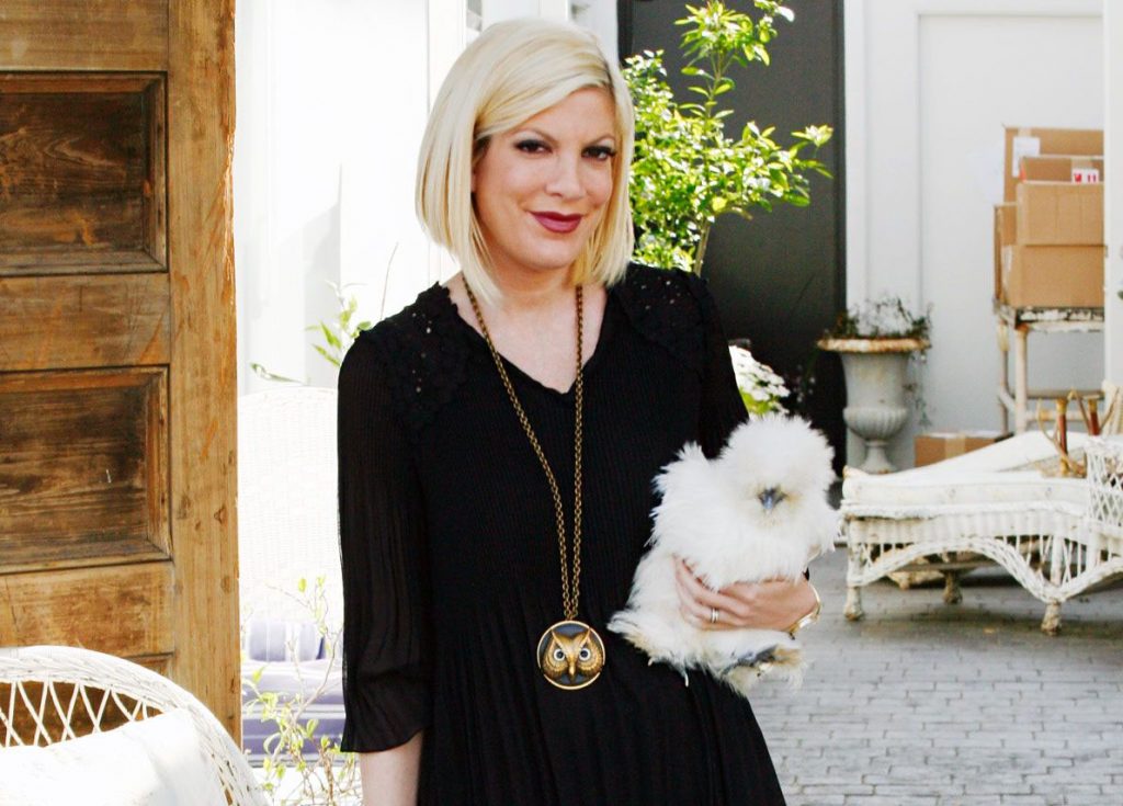 Tori Spelling – Bantam Chicken | Kristen Stewart – Wolf | 10 Celebrities With Truly Weird Pets | Zestradar