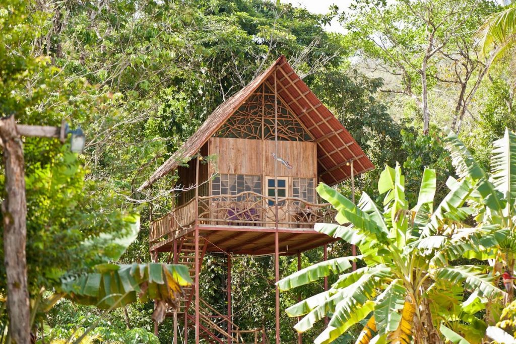 Luxury Airbnb Tree Houses You Can Stay In Once The Lockdown Ends