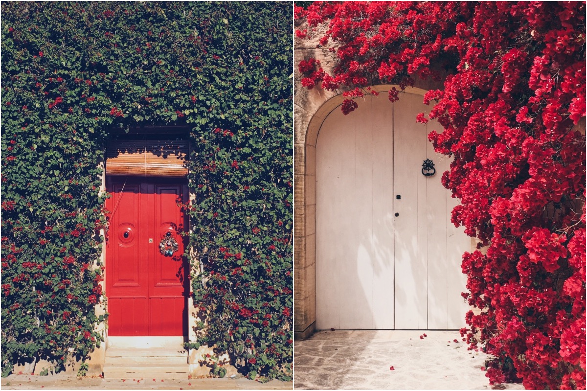 Beautiful Doors Of The World | Zestradar
