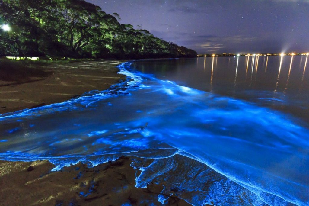 Glowing Beaches | 10 of the Most Surreal Natural Phenomena on Earth | Zestradar