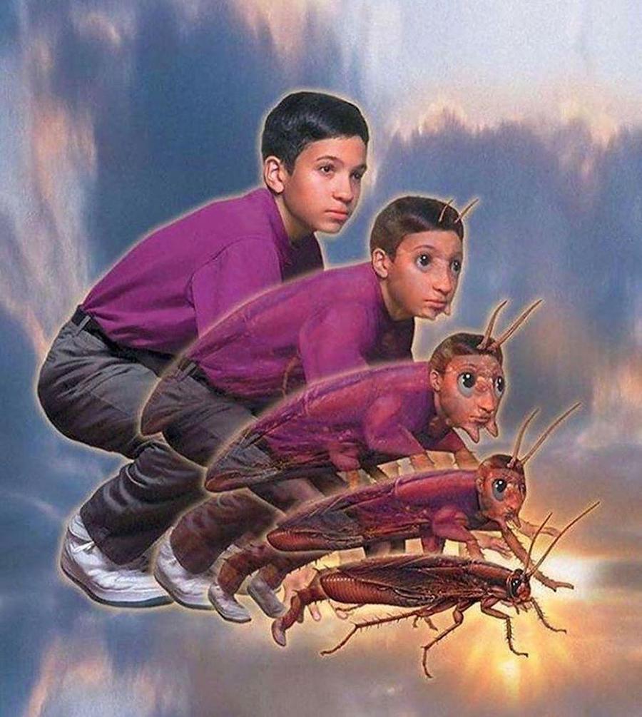 Do You Remember 90s Animorphs? 