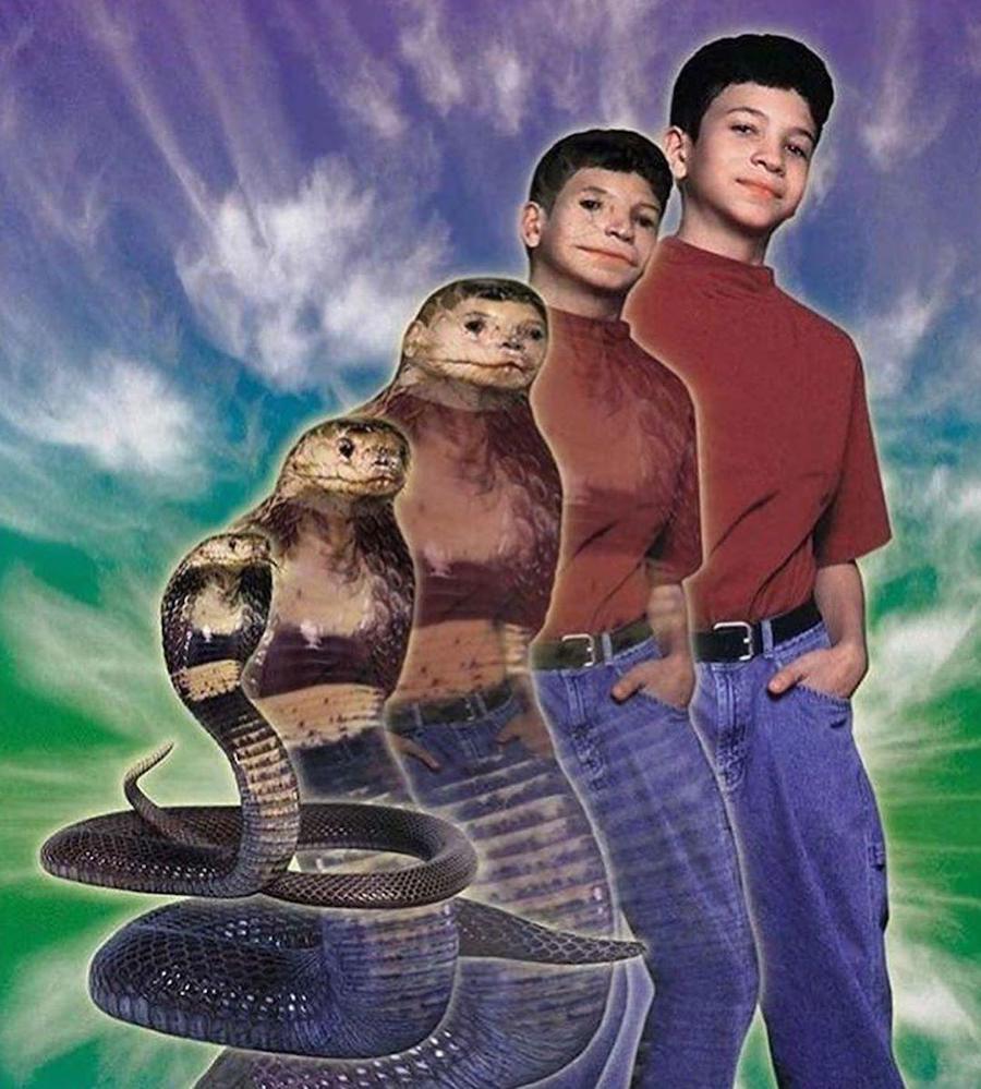 #9 | Do You Remember 90s Animorphs? | Zestradar