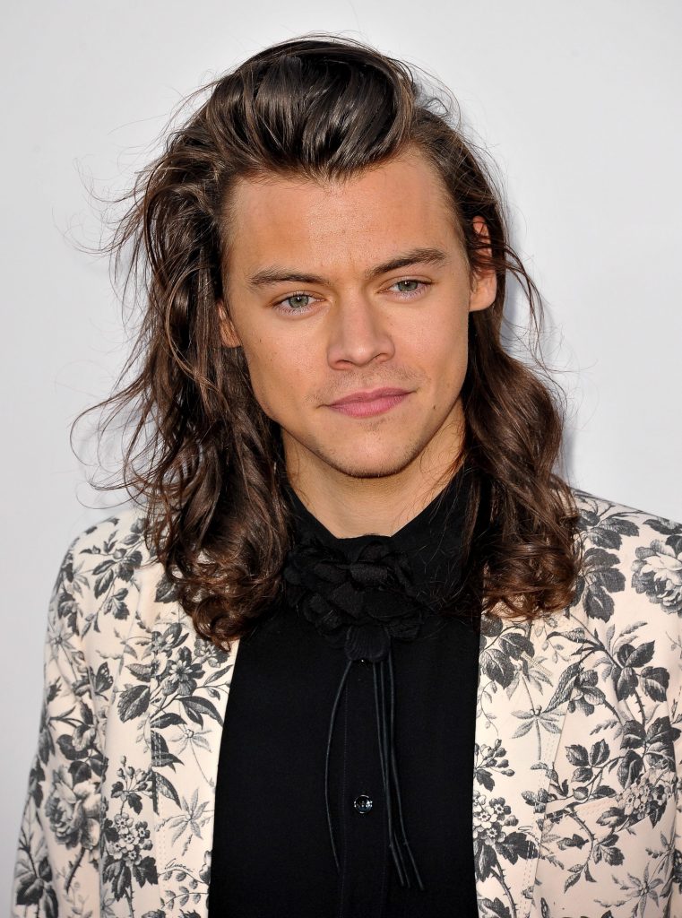 15 Curious Facts About Harry Styles