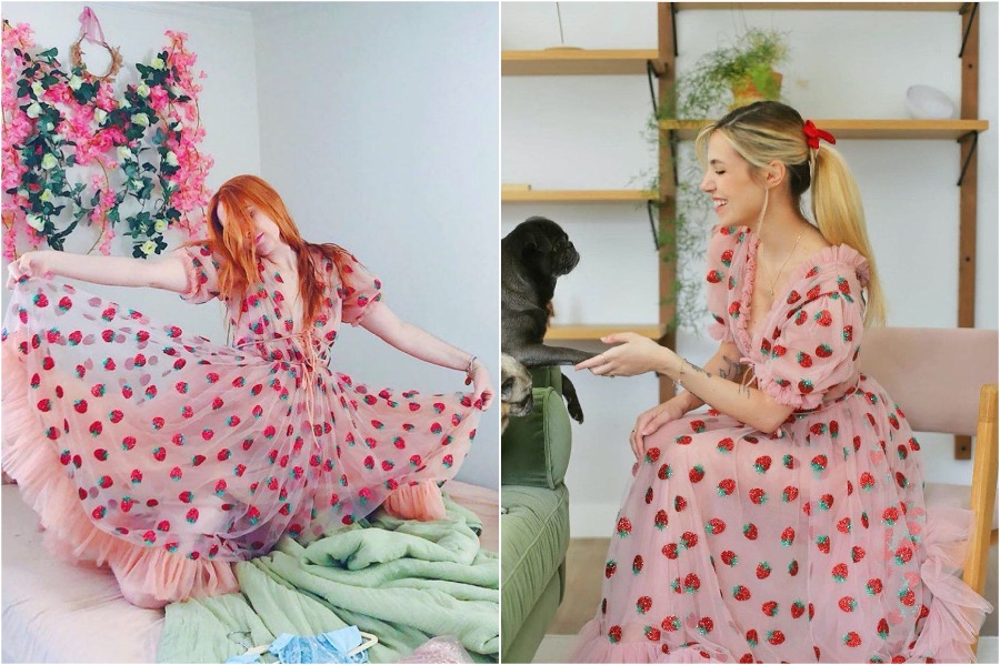 The Success of the Strawberry Dress | Zestradar