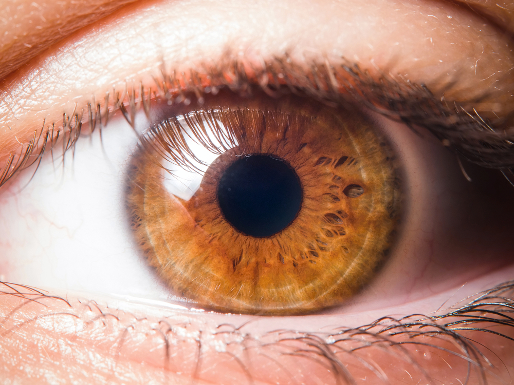 Things Your Eye Color Can Say About You | Brain Berries