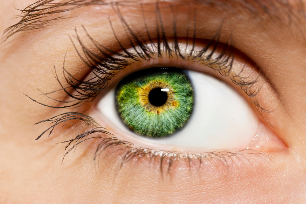 Things Your Eye Color Can Say About You #2 | Brain Berries