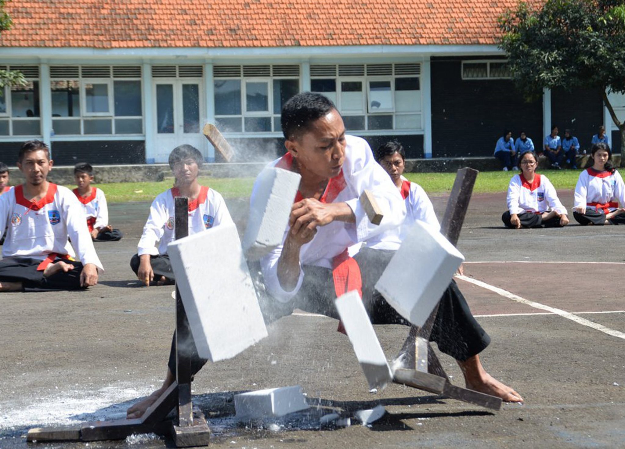 Pencak Silat Aliran Merpati Putih