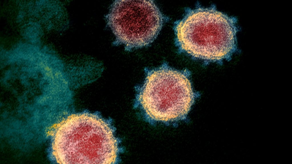 Mối nguy hiểm từ biến thể Virus Corona mới đã tìm thấy ở Anh