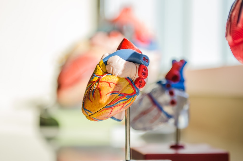 6 fattori chiave che possono scongiurare infarti e ictus