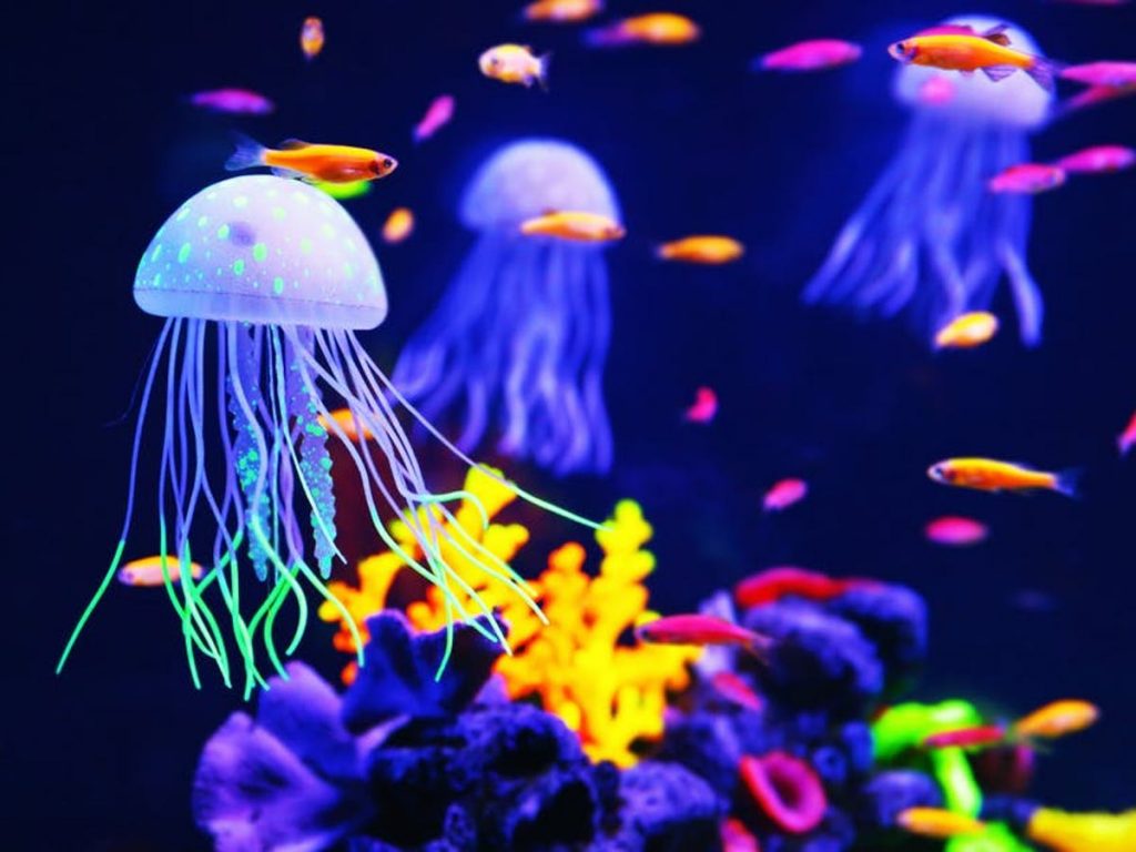 Jellyfish | 10 Animals With Abilities That Put Your Superpowers to Shame | Zestradar