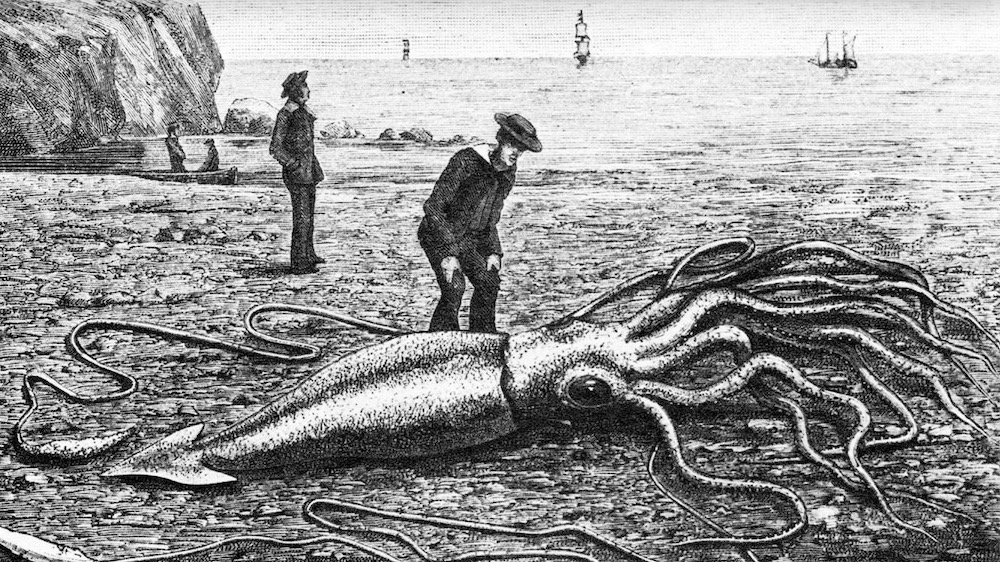 8 Misteri dan Monster Samudra Pasifik, Ada yang Mirip Segitiga Bermuda!