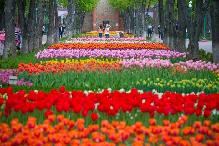 7 кращих дендропарків України, які варто відвідати цієї весни