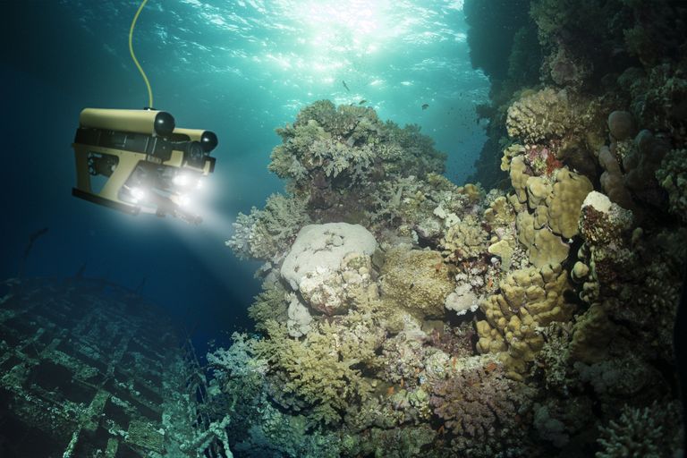 WWII Submarine USS Grayback Discovered 75 Years After Sinking
