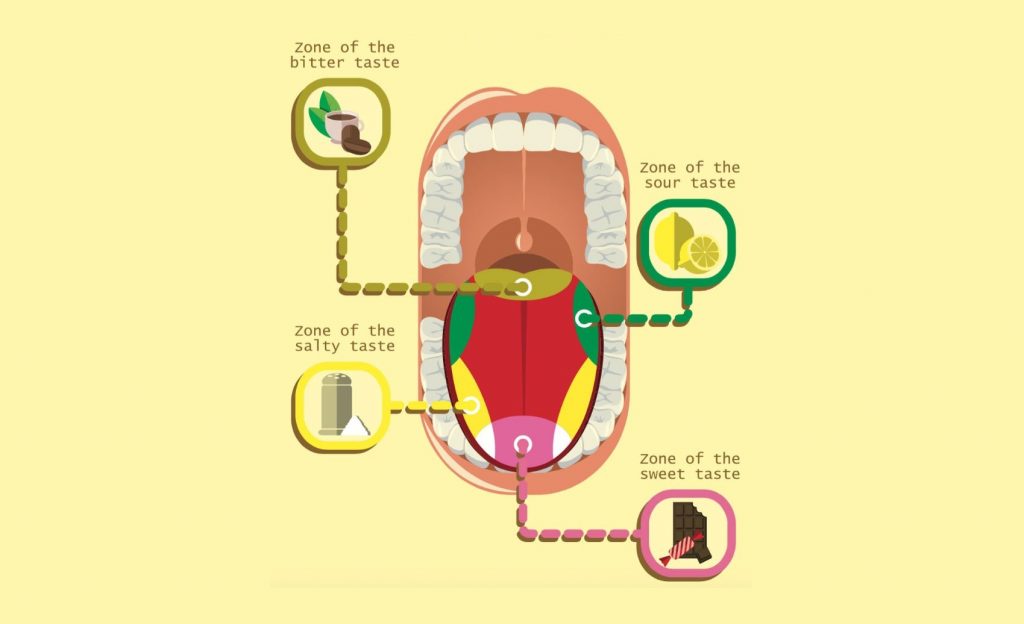 #3 | Myths About Our Bodies That Have Already Been Debunked | Zestradar