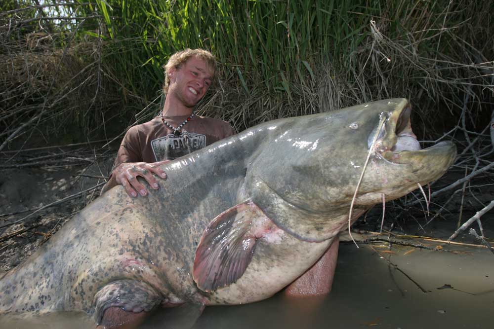 10 Largest Creatures Ever Caught By Fishermen