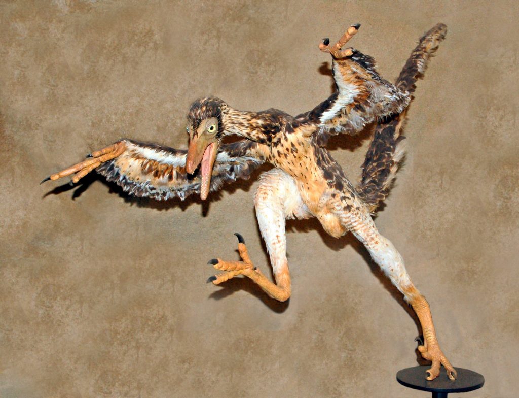 Top 8 Weirdest Dinosaurs That Ever Roamed Our Planet