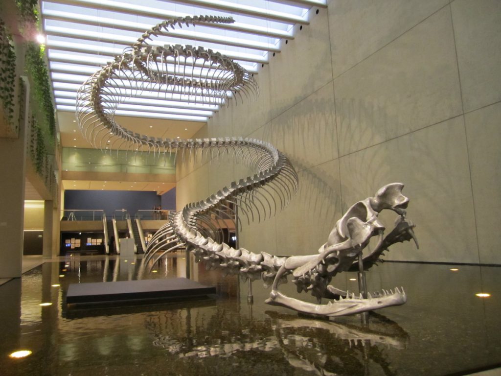 Top 10 Shockingly Large Animals that Ever Lived on Earth