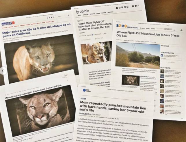 Raquel del Rosario habla sobre el ataque del puma que sufrió su hijo