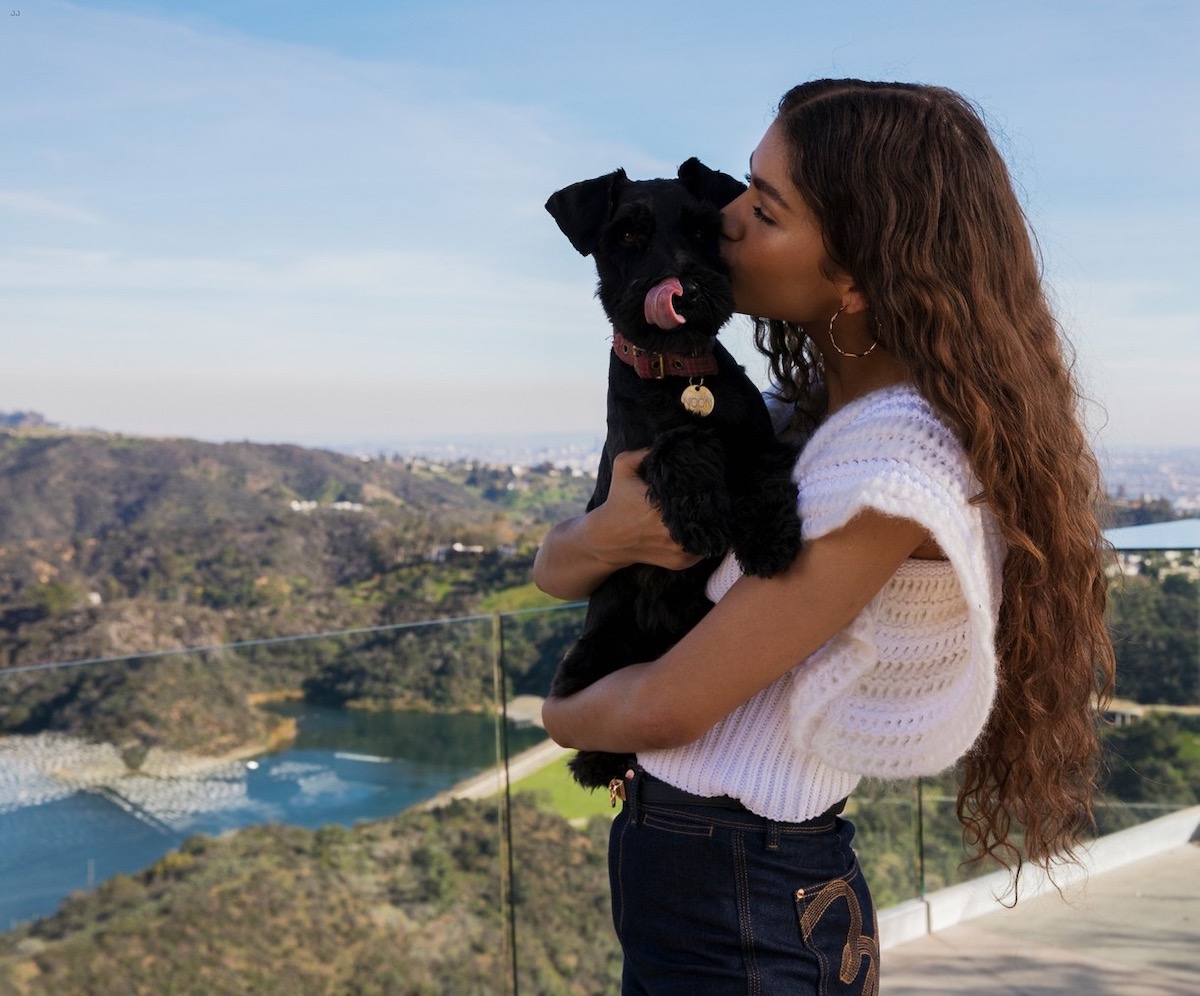 15 Things You Never Knew About Zendaya