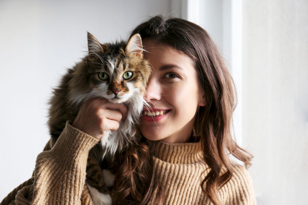 The Cutest Cat Breed for Each Zodiac Sign