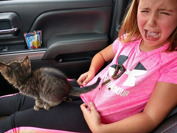 15 Situations Where Bad Luck Made Things Funnier