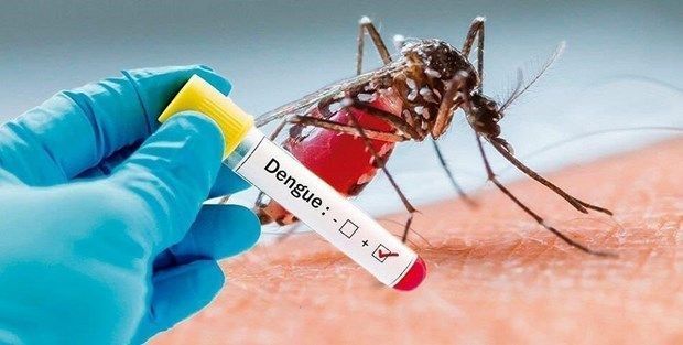 Biến đổi khí hậu khiến dịch sốt xuất huyết nghiêm trọng hơn, biến chủng mới xuất hiện?