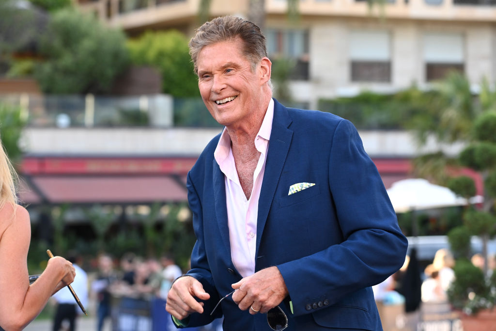 David Hasselhoff | Hollywood Celebs Whose Careers Were Derailed By Addiction ( And How The Bounced Back) | Zestradar