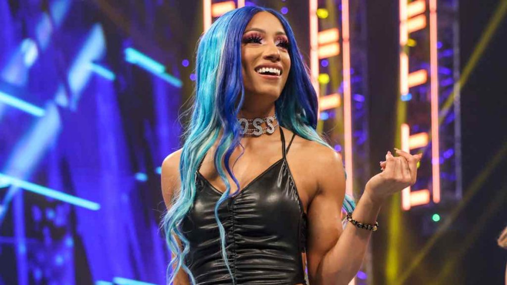 The 9 Hottest Wrestling Divas of 2024